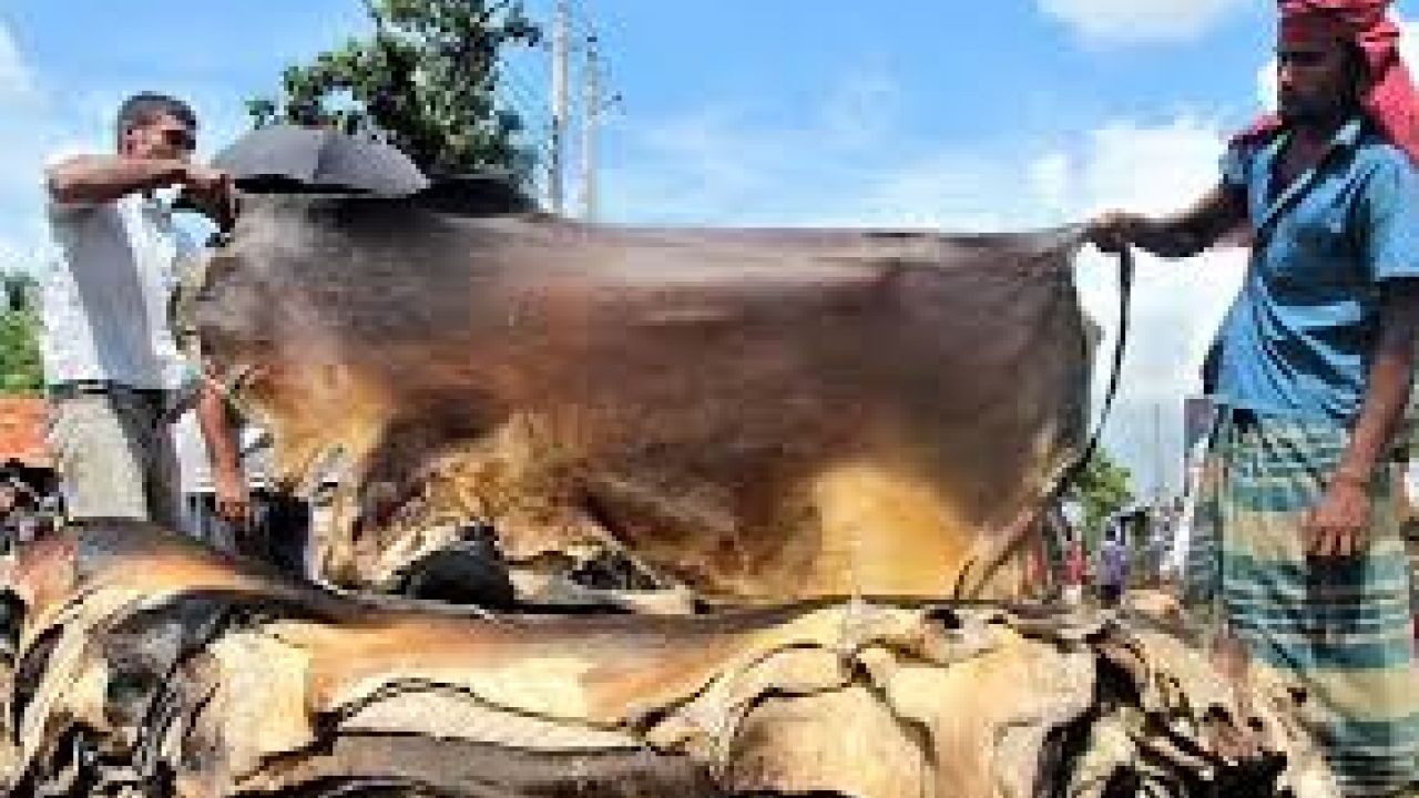 চামড়াশিল্পের সংকট