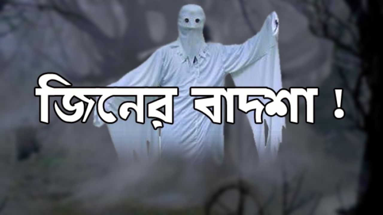বড় বোনের ‘প্রক্সি’ দিতে গিয়ে ৩ দিনের রিমান্ডে ছোট বোন