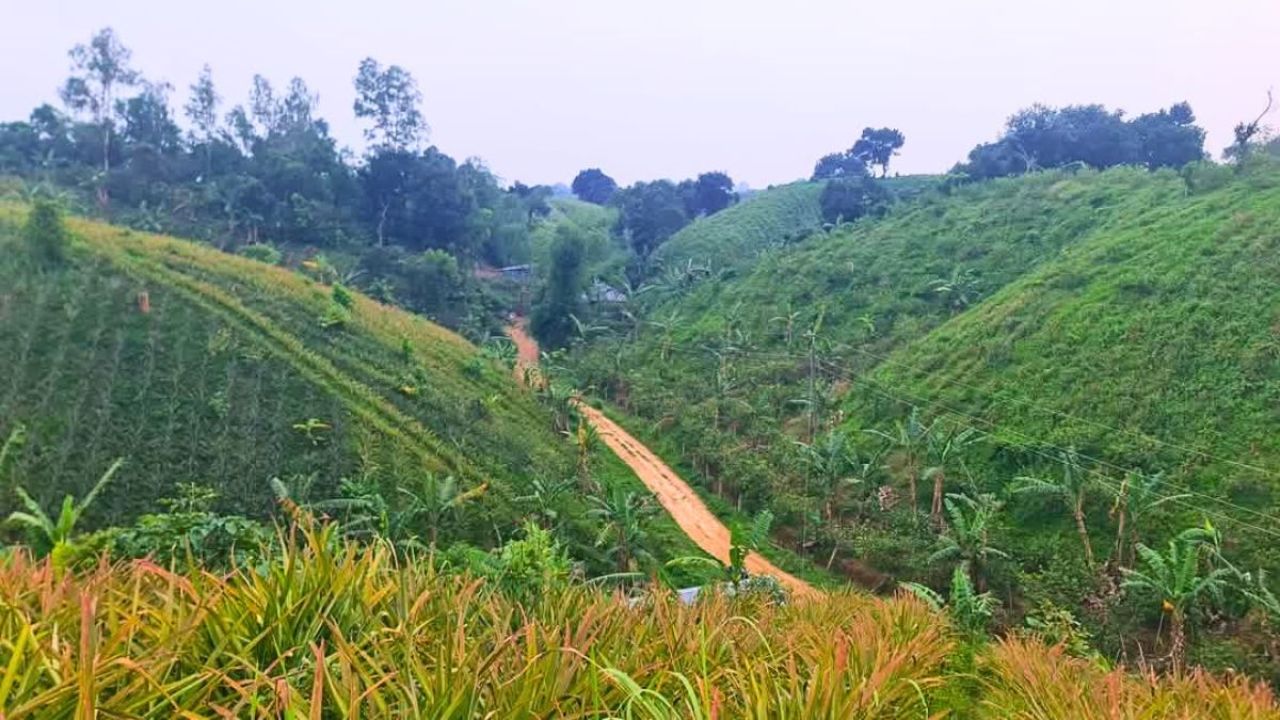 ঈদের ছুটিতে পর্যটকদের অপেক্ষায় শ্রীমঙ্গল