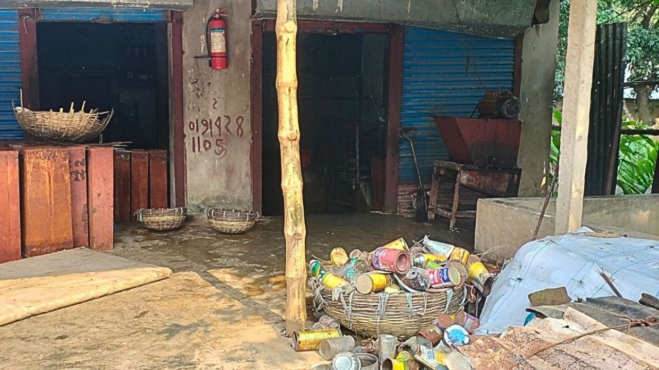 লাইসেন্সহীন কারখানায় তৈরি হচ্ছে বিষাক্ত আইসক্রিম
