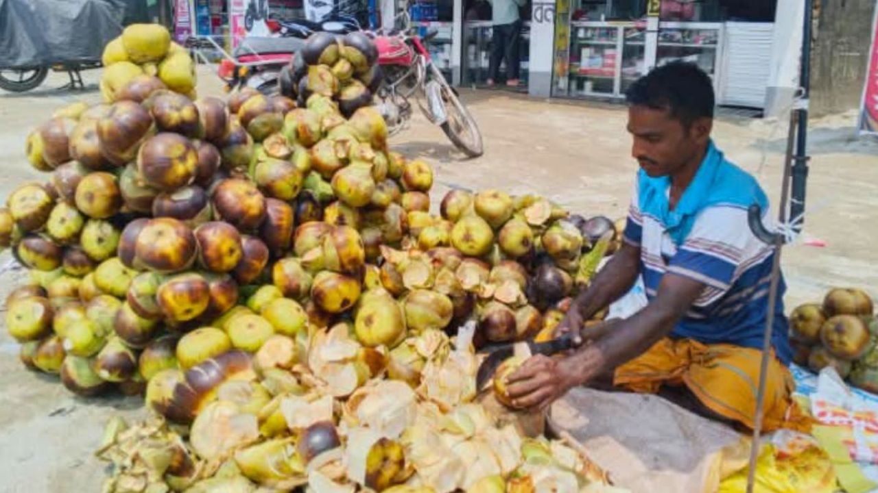 মধুপুরে জনপ্রিয় হচ্ছে কচি তালের শাঁস
