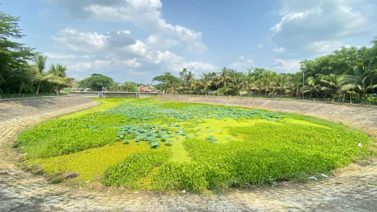 অযত্ন-অবেহলায় বিবর্ণ গোপালগঞ্জ বিজ্ঞান ও প্রযুক্তি বিশ্ববিদ্যালয়ের লেক