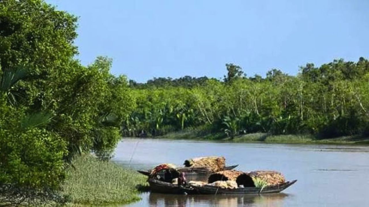 সুন্দরবনে ট্রলারসহ ১২ জেলেকে অপহরণ