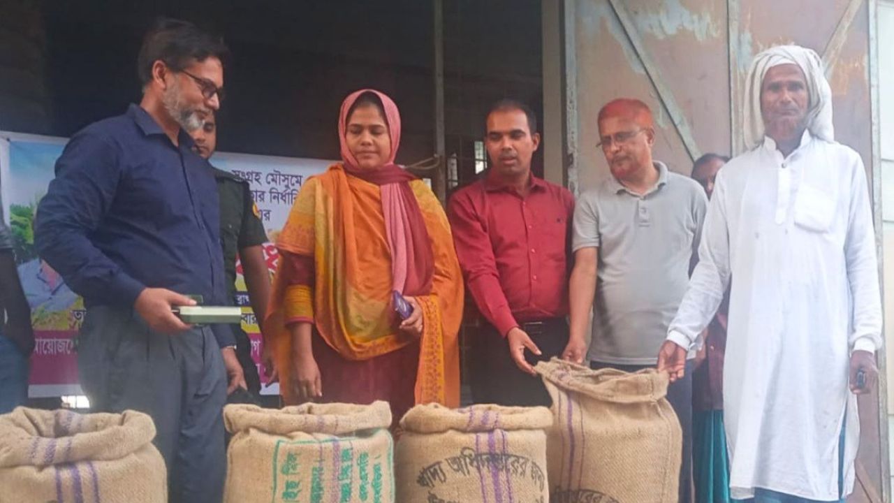 নাসিরনগরে ধান সংগ্রহ কার্যক্রমের উদ্বোধন