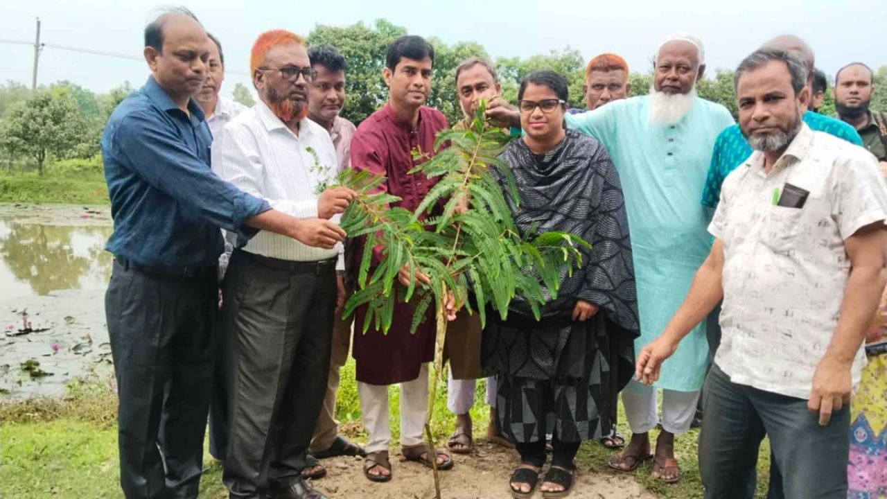 পরিবেশ রক্ষায় সাপাহারে কলেজে বৃক্ষরোপণ কর্মসূচি