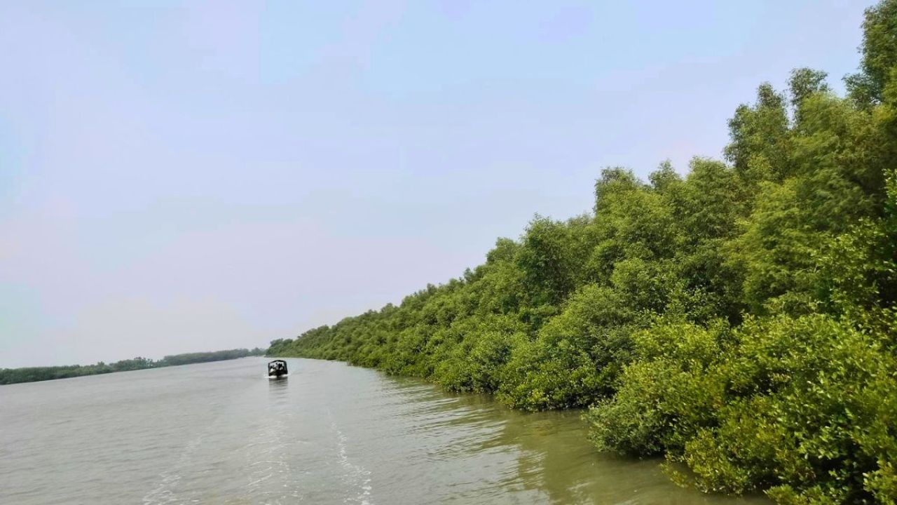 সুন্দরবনে গুলিতে বনজীবী নিহত, পাল্টাপাল্টি মামলা