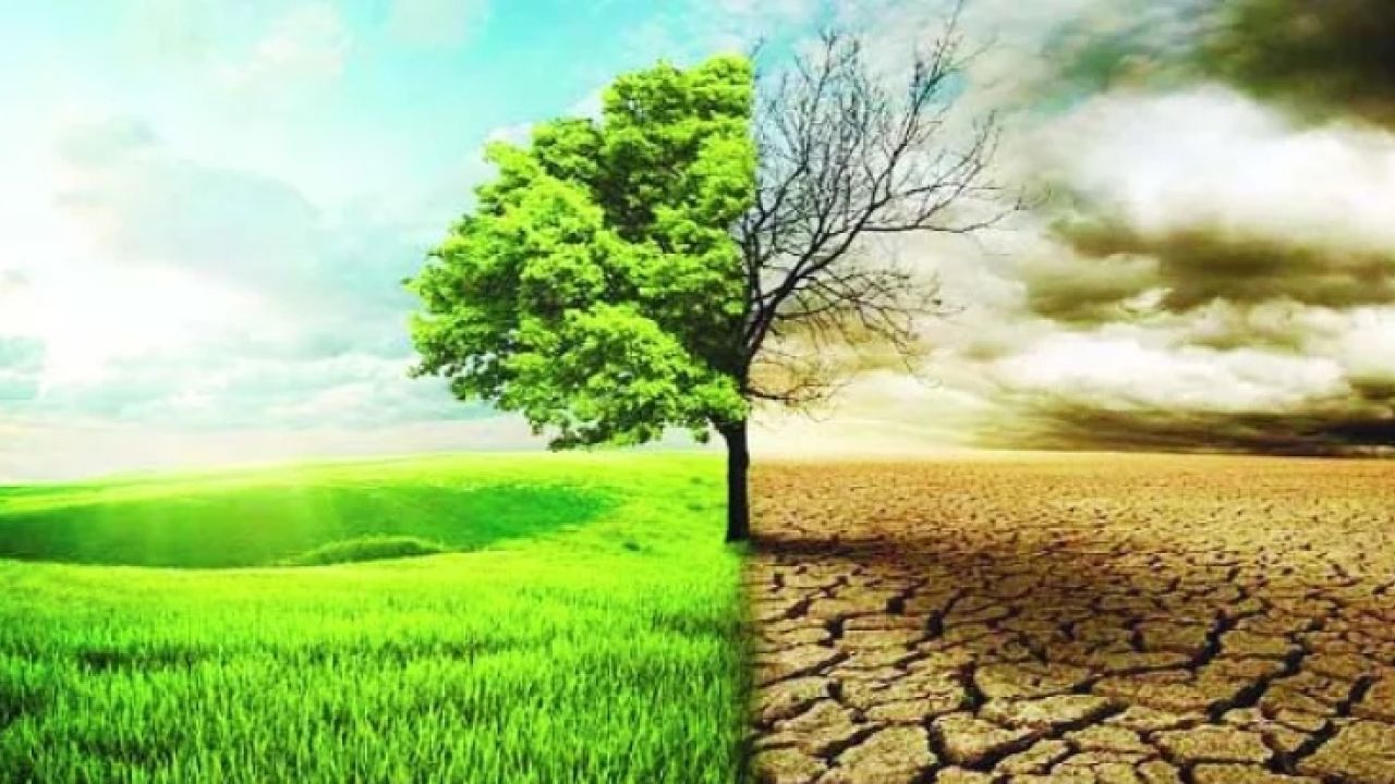 যুক্তরাষ্ট্রের বিরোধিতা সত্ত্বেও জাতিসংঘে জলবায়ু প্রস্তাব পাস