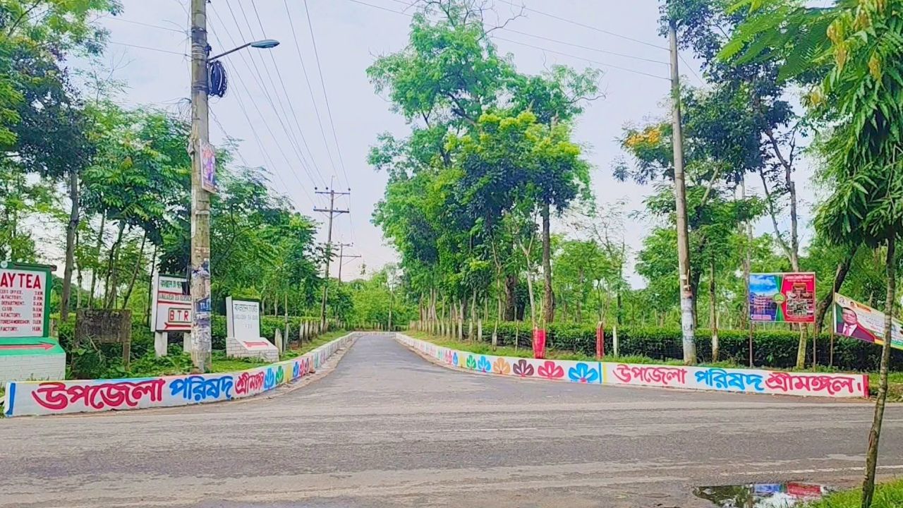 পর্যটকদের মুগ্ধতার ঠিকানা শ্রীমঙ্গলের সড়ক