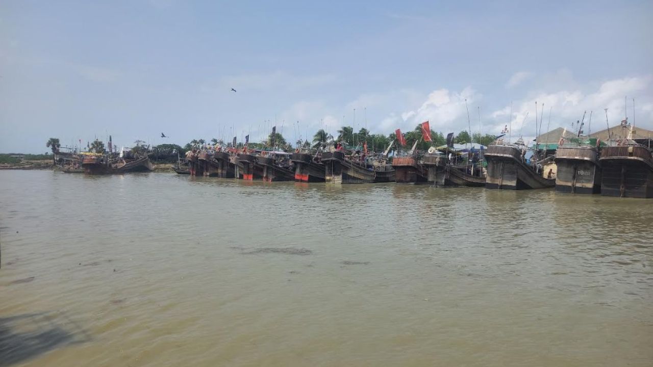 নদীর ‘কাগজে’ সাগরের ইলিশ পাচার