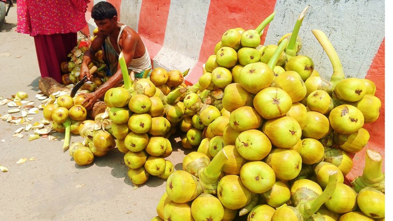 দুমকিতে তীব্র গরমে স্বস্তি দিচ্ছে তালের শাঁস।