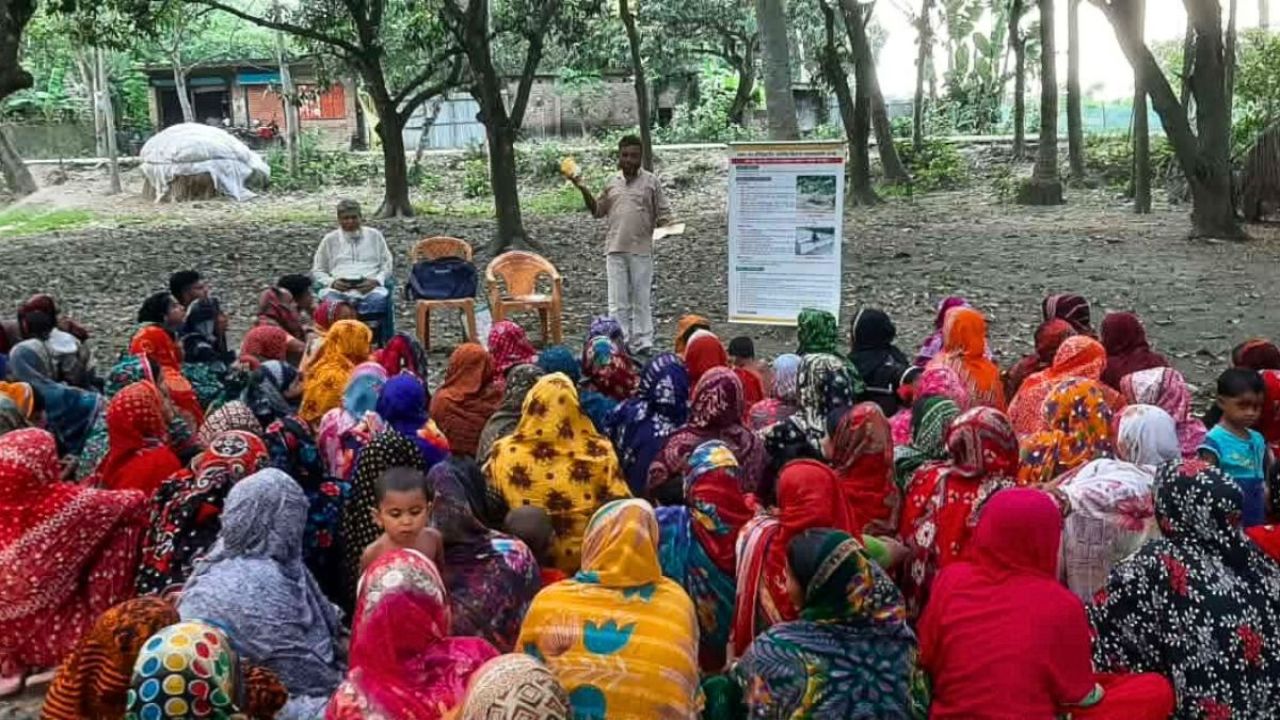 কলারোয়ায় আব্দুস সাত্তারের হাত ধরে কৃষি বিপ্লব