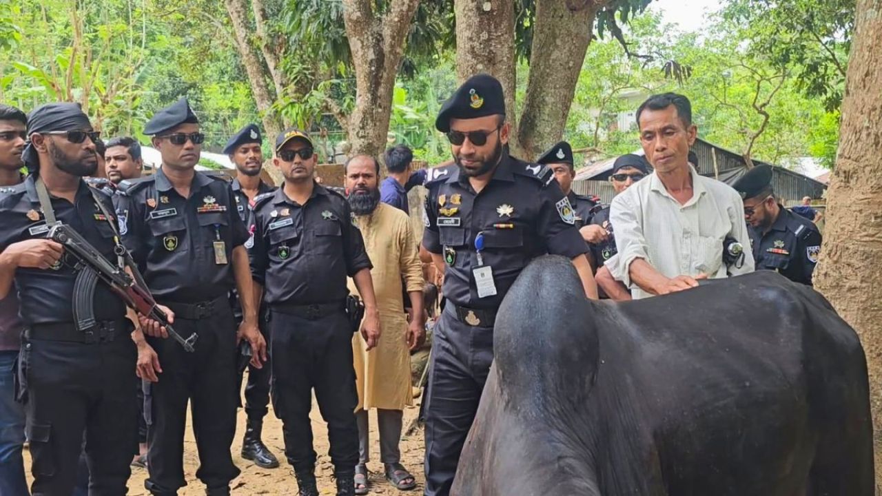 বান্দরবানে পশুর হাটে র‍্যাবের নিরাপত্তা জোরদার