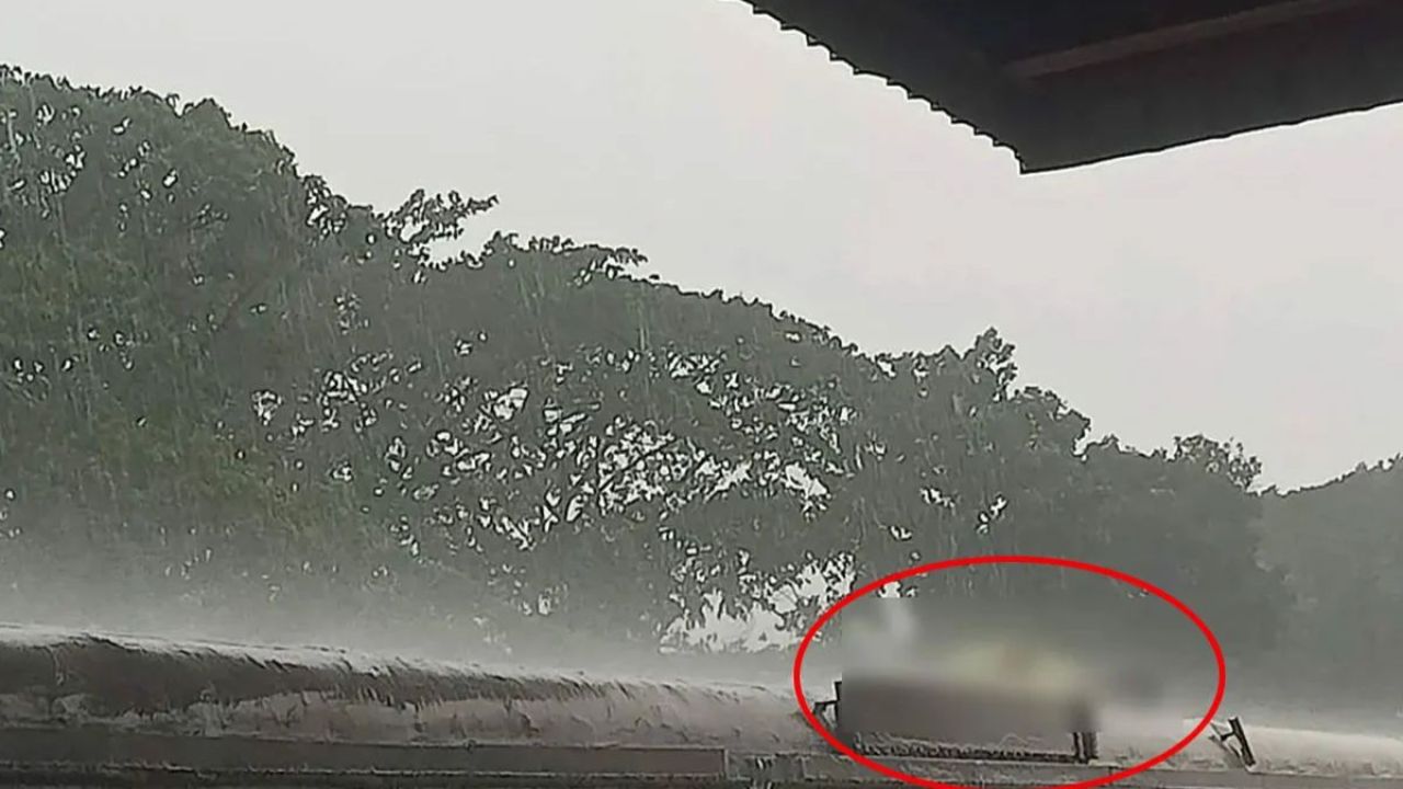 ট্রেনের ছাদে ভ্রমণকালে বজ্রপাতে যাত্রীর মৃত্যু
