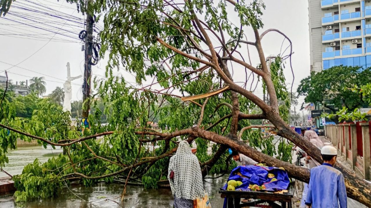 চাঁদপুরে কালবৈশাখীর তাণ্ডব, গাছ পড়ে নিহত ১