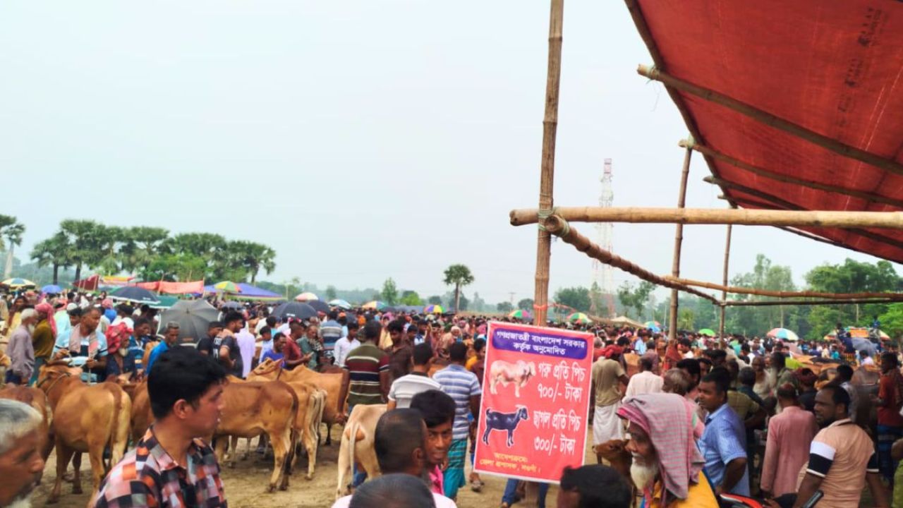 নওগাঁর পশুর হাটে ৪৬ অভিযান, লক্ষাধিক টাকা জরিমানা