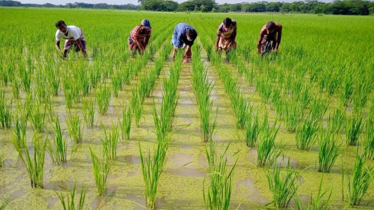 অর্থনৈতিক আগ্রাসন: সংস্কৃতির বিপন্নতা ও অস্তিত্বের লড়াই