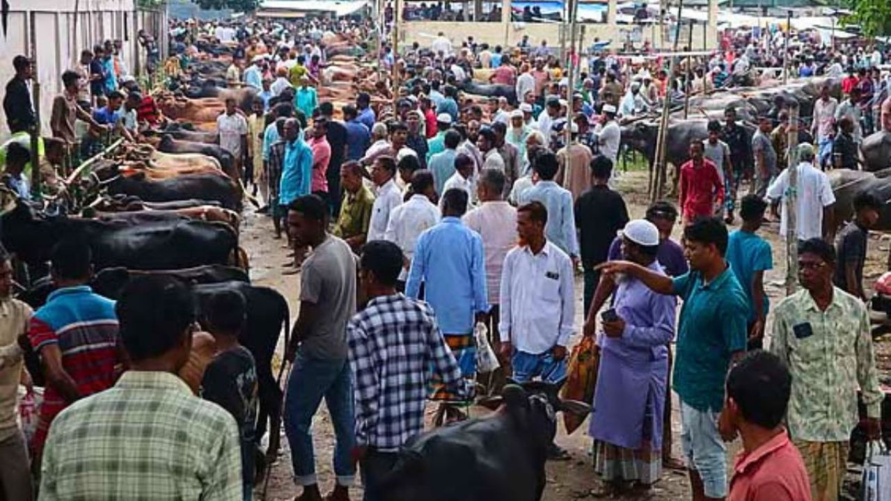 বন্যার প্রভাবে মৌলভীবাজারের পশুর হাটে মন্দাভাব