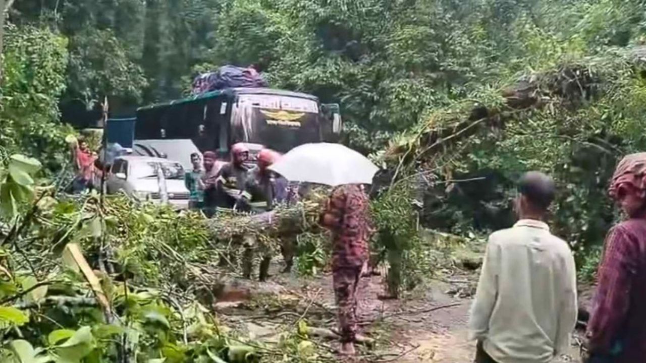 কালবৈশাখীর ঝড়ে লাউয়াছড়ায় গাছ উপড়ে বিপত্তি