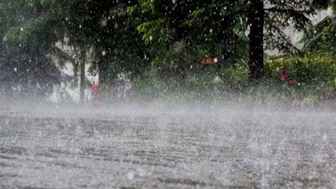 ঈদের দিনসহ আগামী ৫ দিন কেমন থাকবে আবহাওয়া? যা জানাল আবহাওয়া অফিস  ​