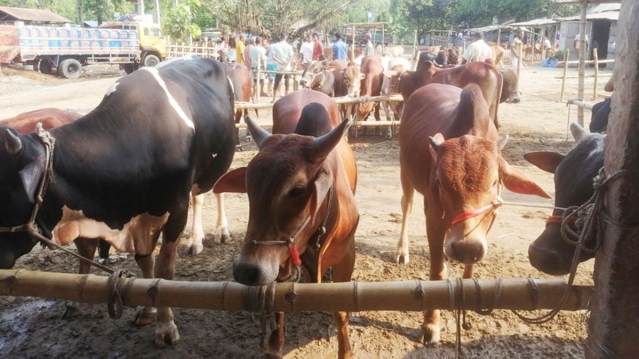 সরকারি নিয়মের তোয়াক্কা না করে অতিরিক্ত হাসিল আদায়