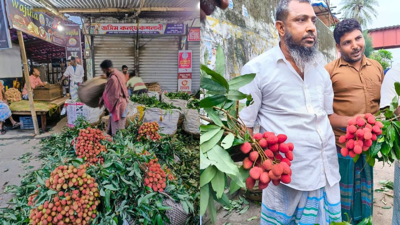 পলাশের বাজারে ক্রেতাদের নজর লাল লিচুতে