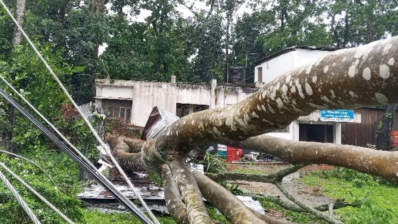 পল্লী বিদ্যুৎ:  ঝড়-বৃষ্টিতে লণ্ডভণ্ড সরবরাহ ব্যবস্থা
