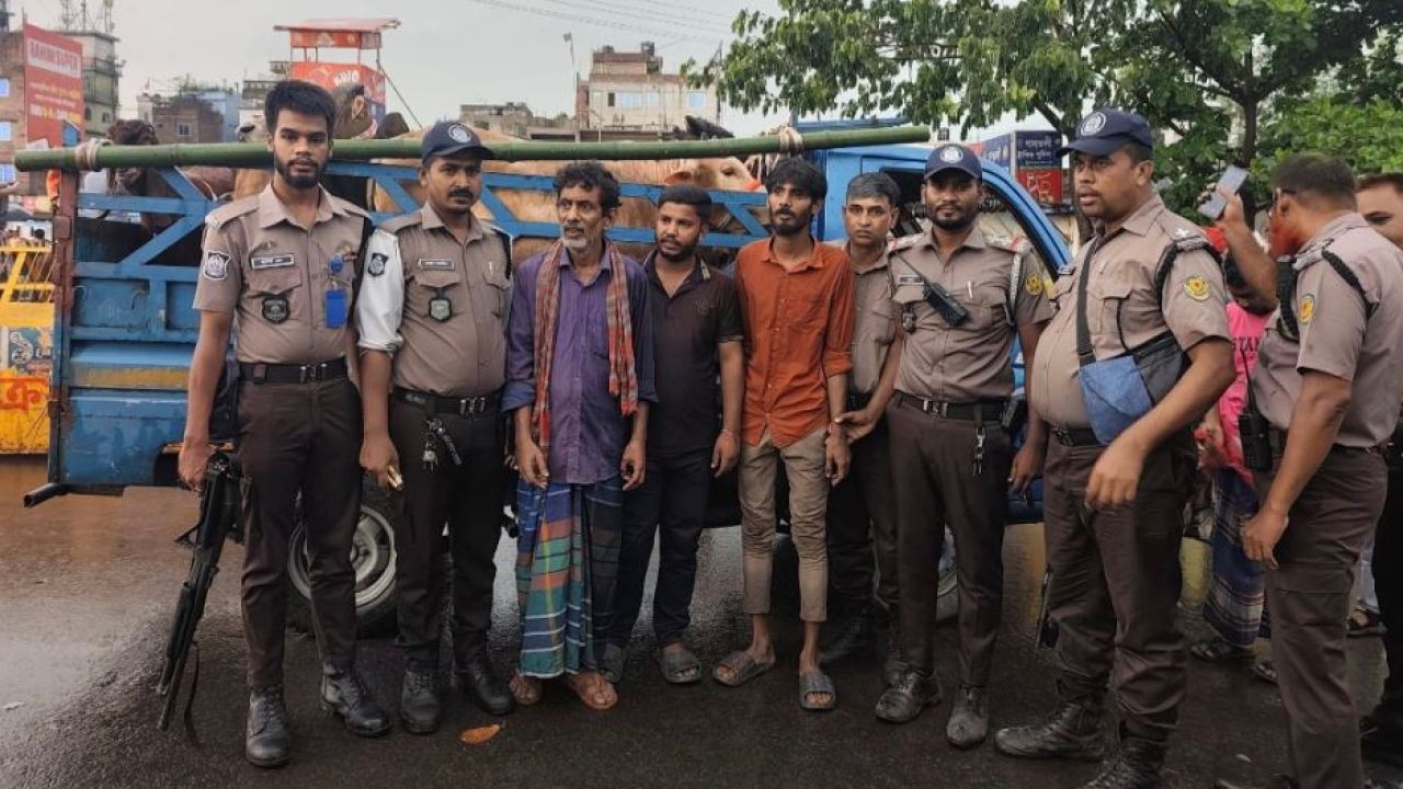 পিকআপ ভর্তি গরু-ছাগল ছিনতাই, তাৎক্ষণিক অভিযানে আটক ৩