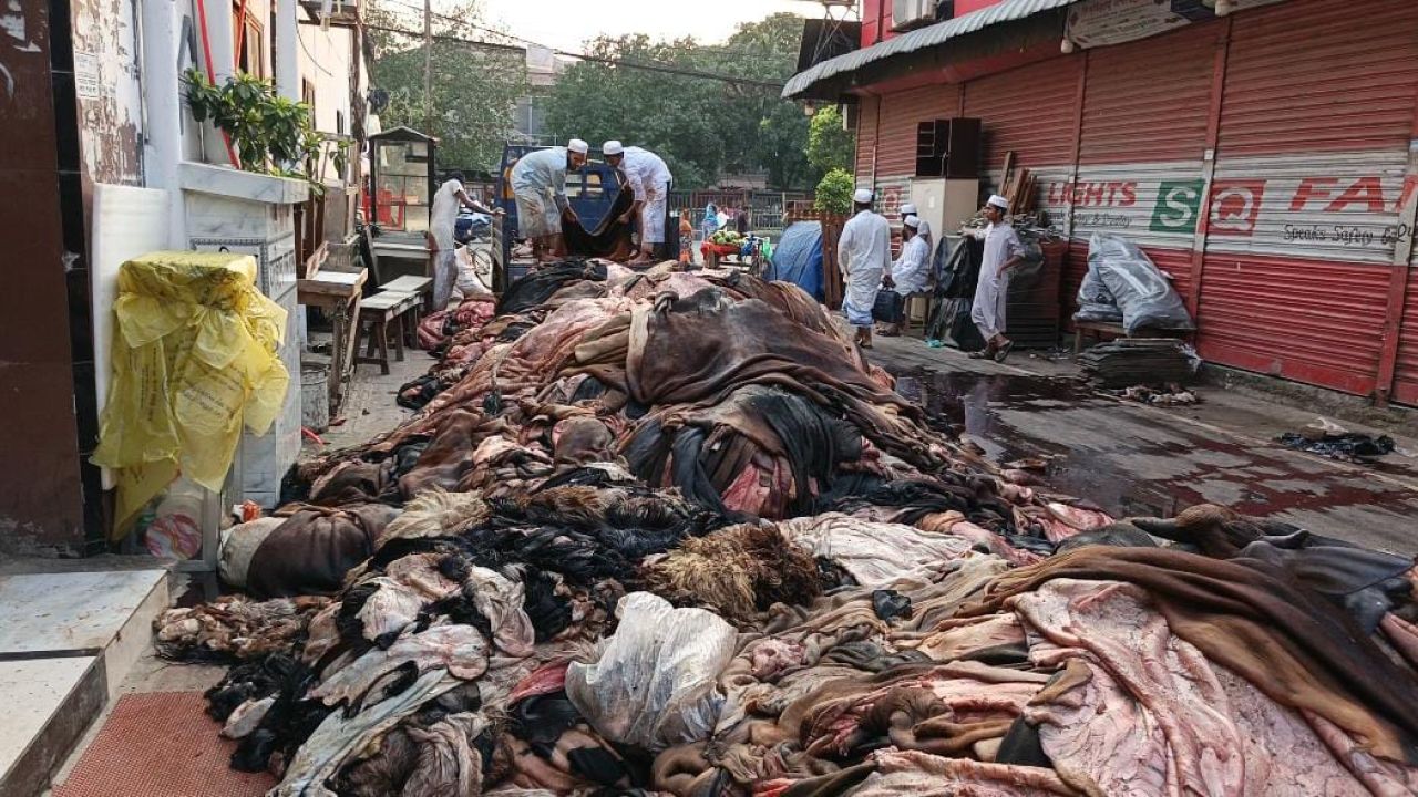 সিন্ডিকেটের কবলে কোরবানির চামড়ার বাজার