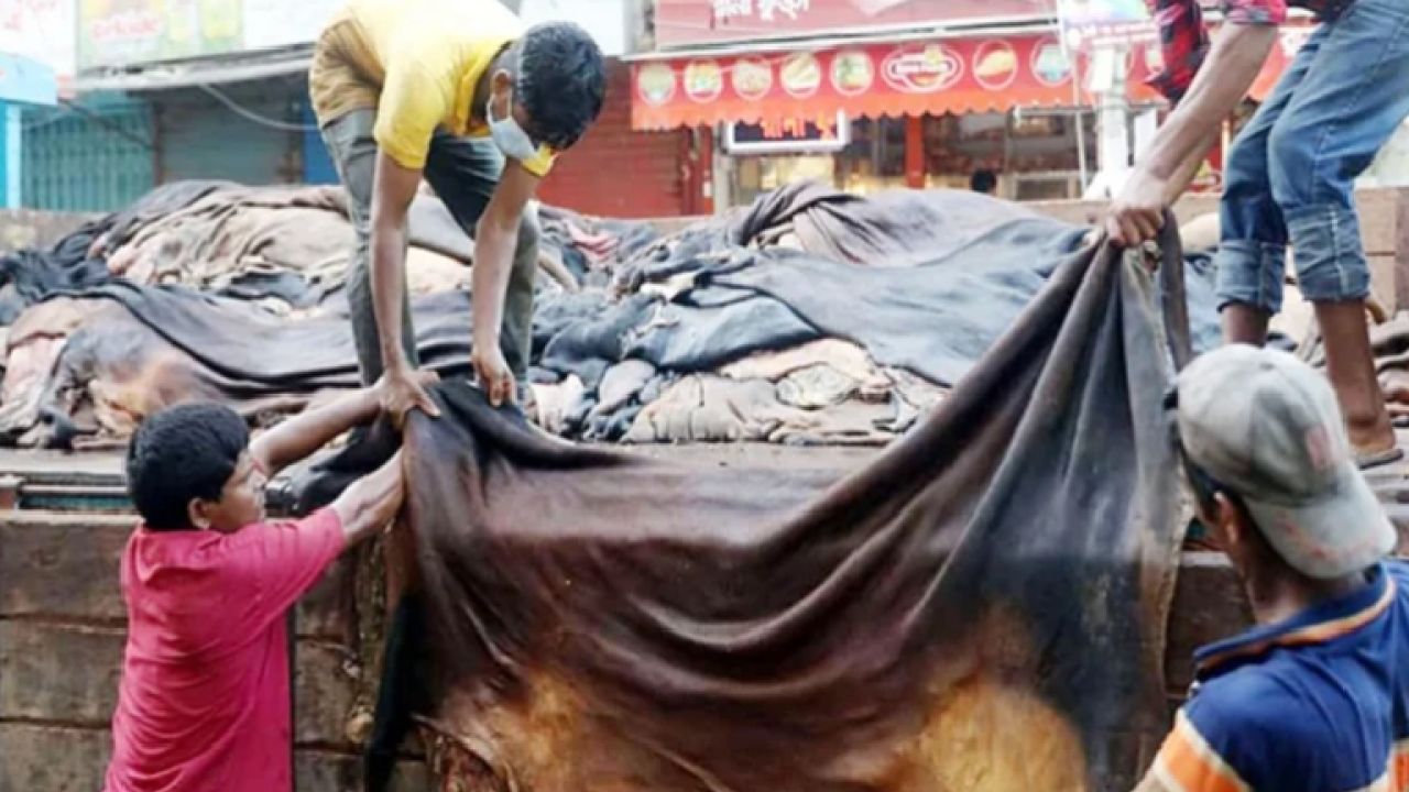 ন্যায্যমূল্য নিয়ে আক্ষেপের মাঝেই চামড়া শিল্পনগরীতে ঢুকল ৪০ হাজারের বেশি কাঁচা চামড়া