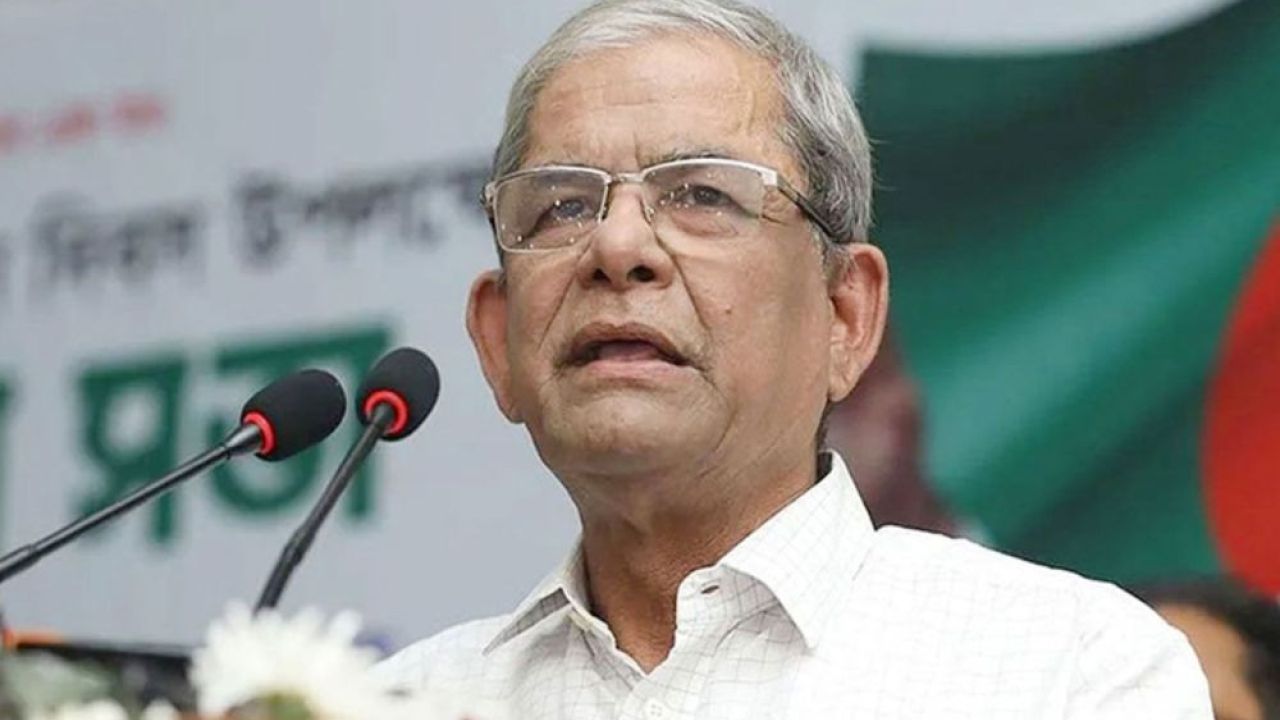 ১৭ বছর দিনটি স্বাভাবিকভাবে পালন করতে পারিনি: মির্জা ফখরুল