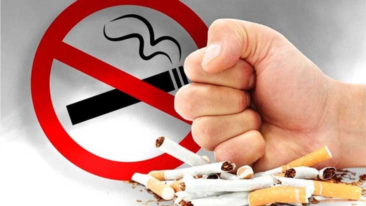 তামাকের ফাঁদ থেকে তরুণদের বাঁচানোর তাগিদ