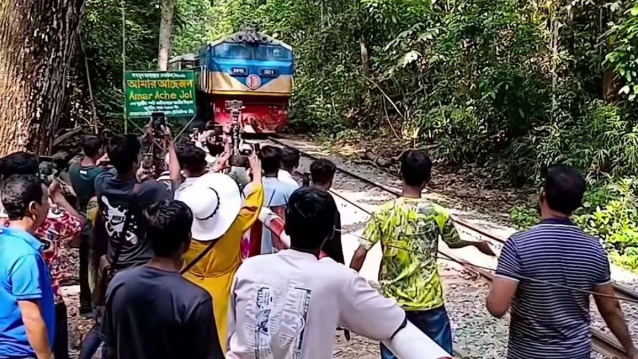 সৌন্দর্যের আড়ালে লাউয়াছড়ায় লুকিয়ে থাকা ঝুঁকি