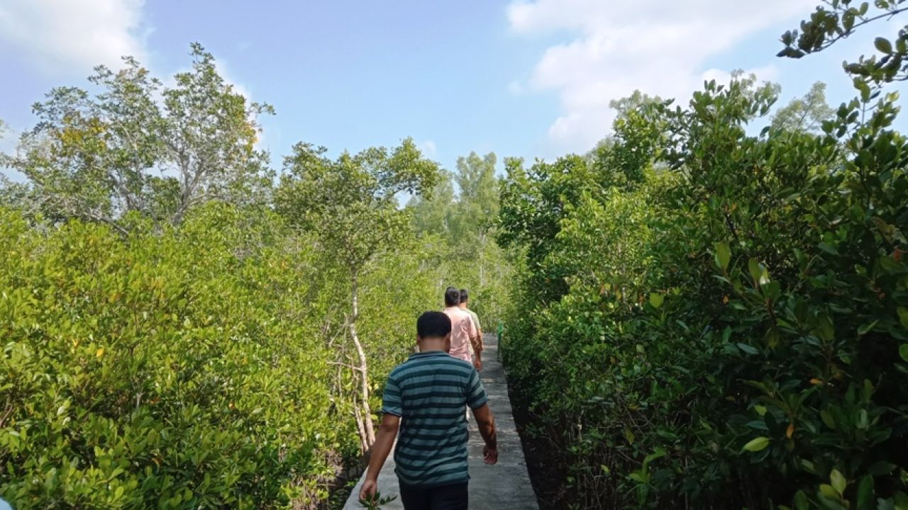 সুন্দরবনে তিন মাস প্রবেশ নিষিদ্ধ, দুশ্চিন্তায় বনজীবীরা