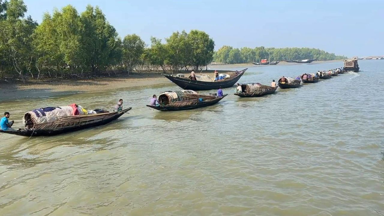 বন্যপ্রাণীর প্রজনন রক্ষায় সুন্দরবনে প্রবেশ বন্ধ