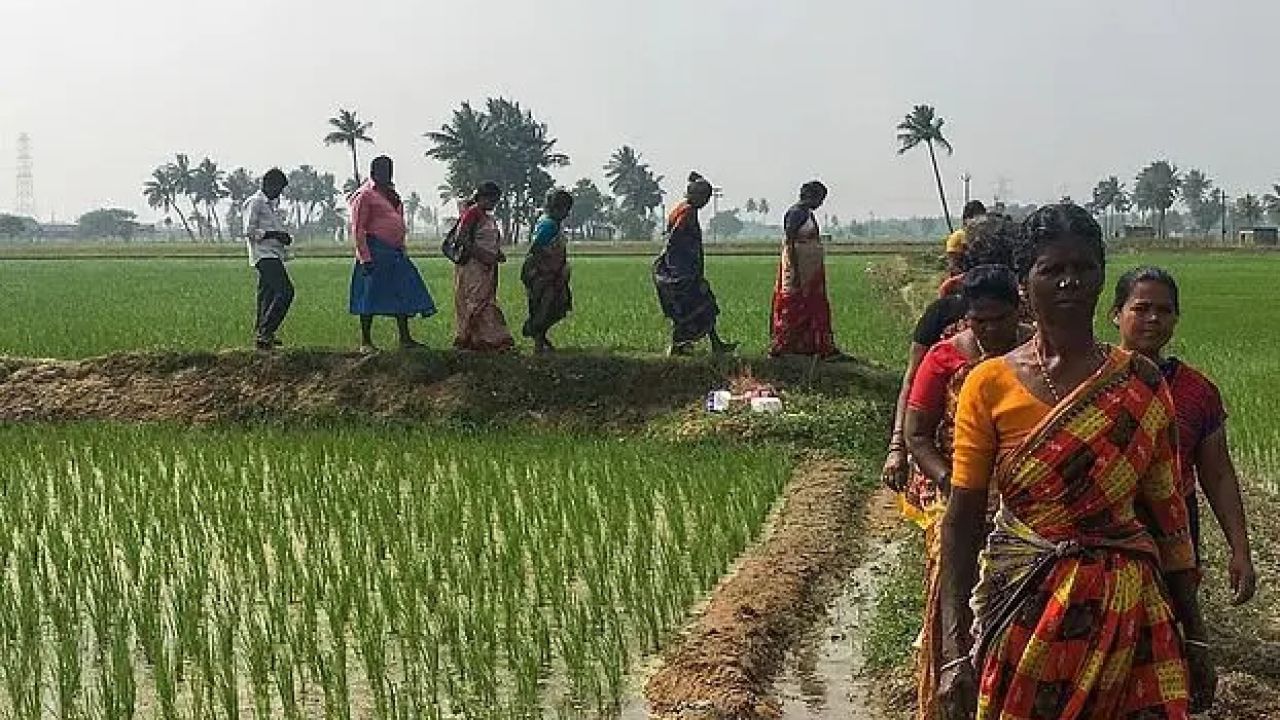 বিভাজনের রাজনীতি ও প্রান্তিক জনগোষ্ঠীর ঐক্যের প্রশ্ন