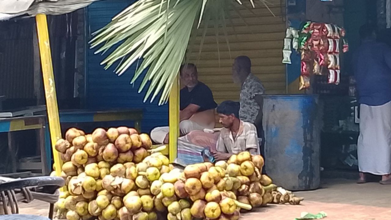 তীব্র গরমে স্বস্তি দিচ্ছে তালের কচি শাঁস