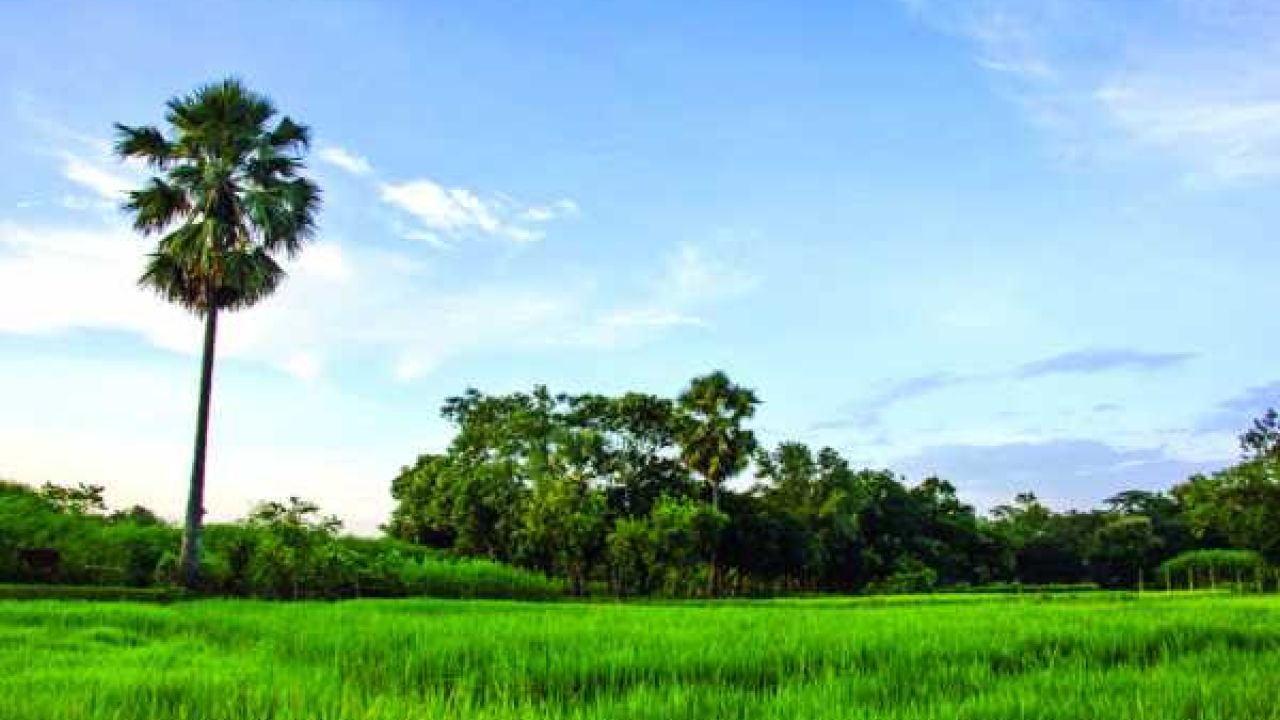 বিশ্ব পরিবেশ দিবস আজ