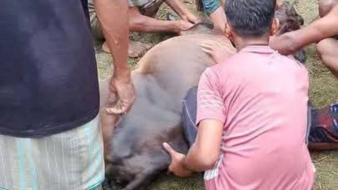 ঘেরে কাজ করার সময় বজ্রপাতে যুবকের মৃত্যু