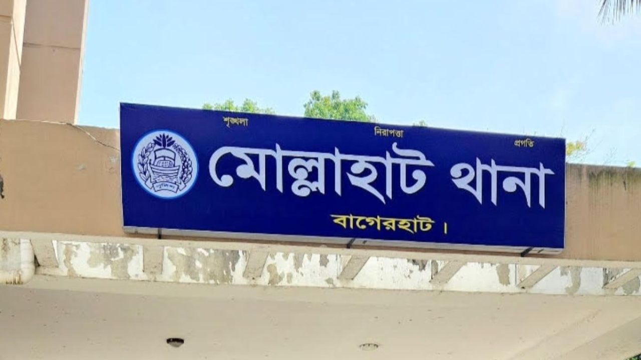 মোল্লাহাটে বাস-অটোরিকশা সংঘর্ষে নারী নিহত