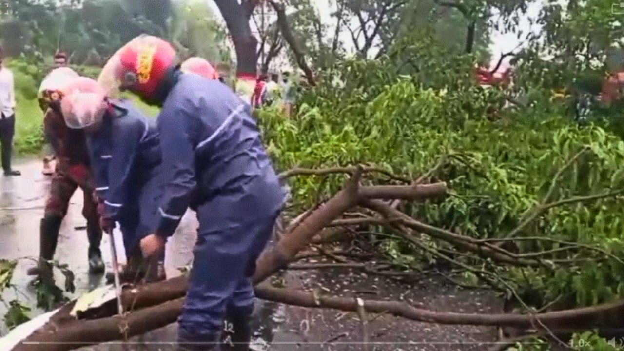 সিরাজদিখানে ঝড়ে গাছ উপড়ে সড়কে ভোগান্তি