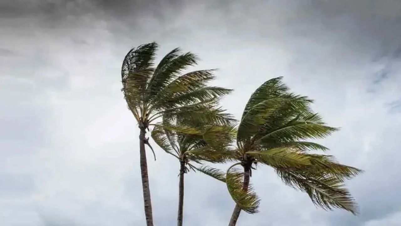 ১২ অঞ্চলে ঝড়ের পূর্বাভাস, নদীবন্দরে সতর্কতা