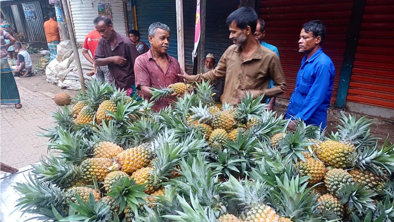 পলাশে আনারসের বাম্পার ফলন