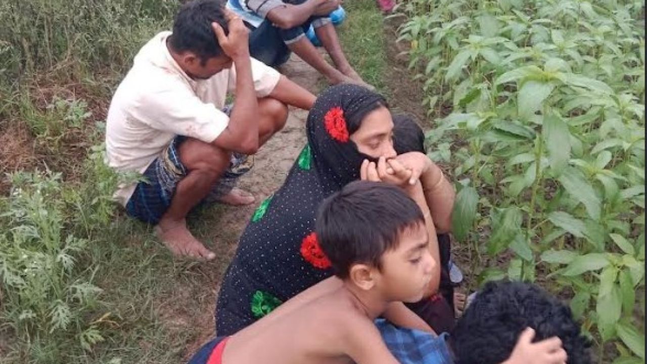সিদ্ধান্তহীন পতাকা বৈঠক, পাটখেতে নারী-শিশুসহ ১২ নাগরিক 