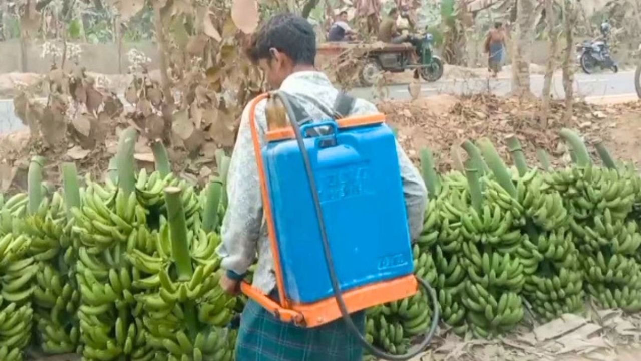 অধিক লাভের আশায় মাটির অপূরণীয় ক্ষতি