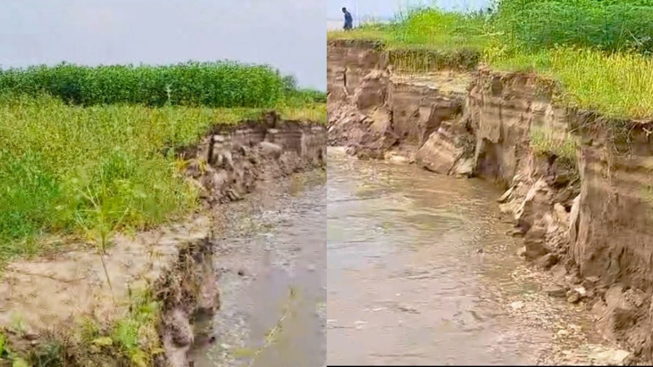 পদ্মার তীব্র ভাঙনে দিশেহারা ফরিদপুরের বাসিন্দারা