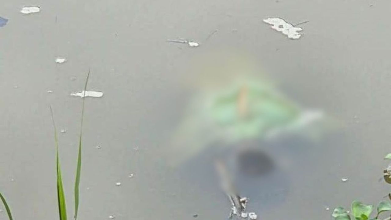ঈদগাঁও নদী থেকে ভাসমান মরদেহ উদ্ধার