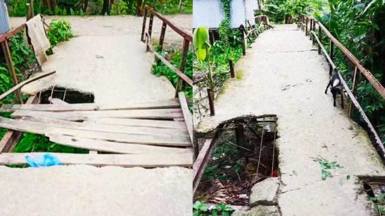 বাবুগঞ্জে জরাজীর্ণ ব্রিজে ঝুঁকি নিয়ে চলাচল করছে মানুষ