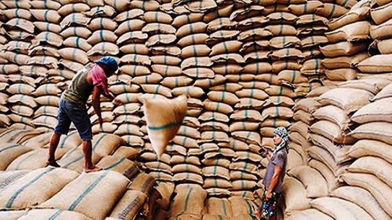 দেশে খাদ্যশস্যের মজুদ ২০ লাখ ৬০ হাজার টন ছাড়াল