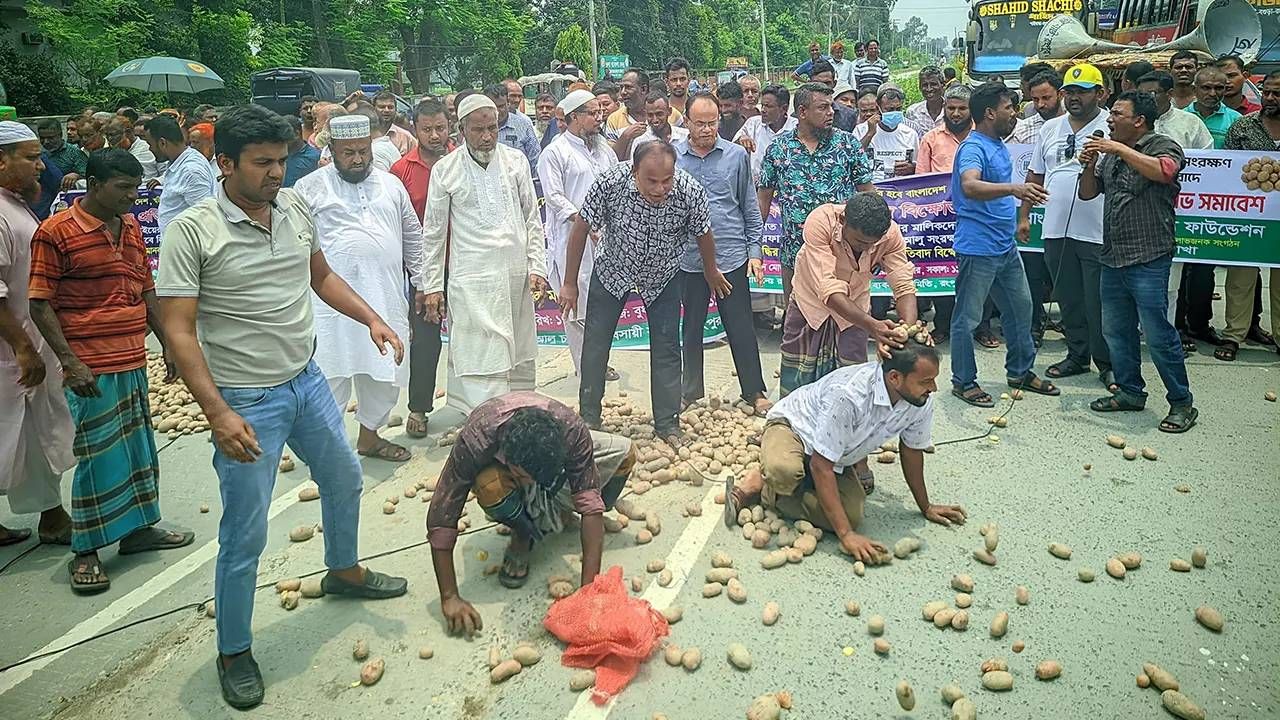 আলু সংরক্ষণের ভাড়া: প্রয়োজন স্বচ্ছতা ও সমঝোতা