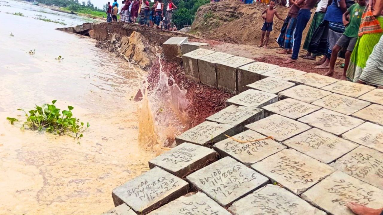 সাঘাটায় যমুনার বাঁধে ধস, আতঙ্কে এলাকাবাসী